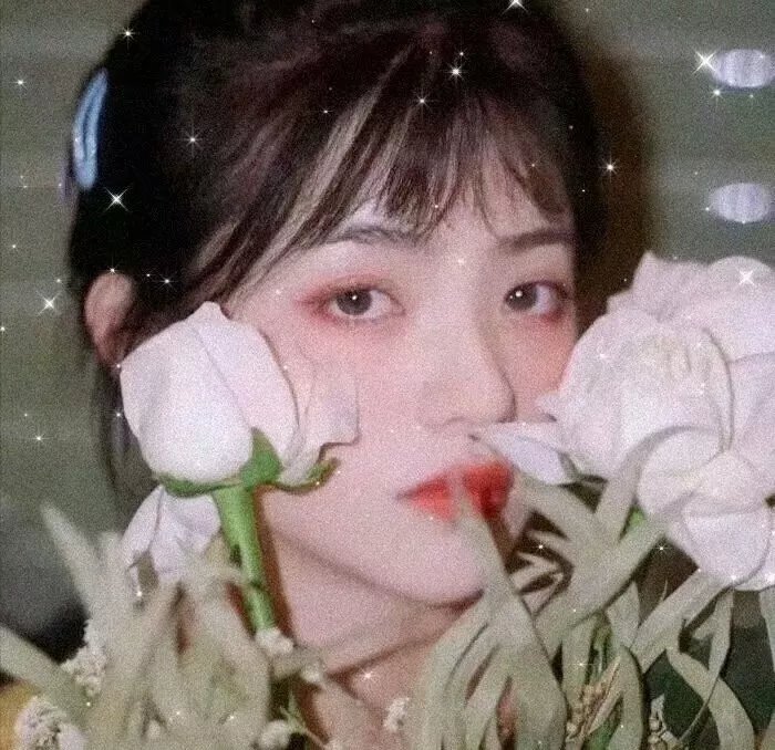少主且慢行第二季