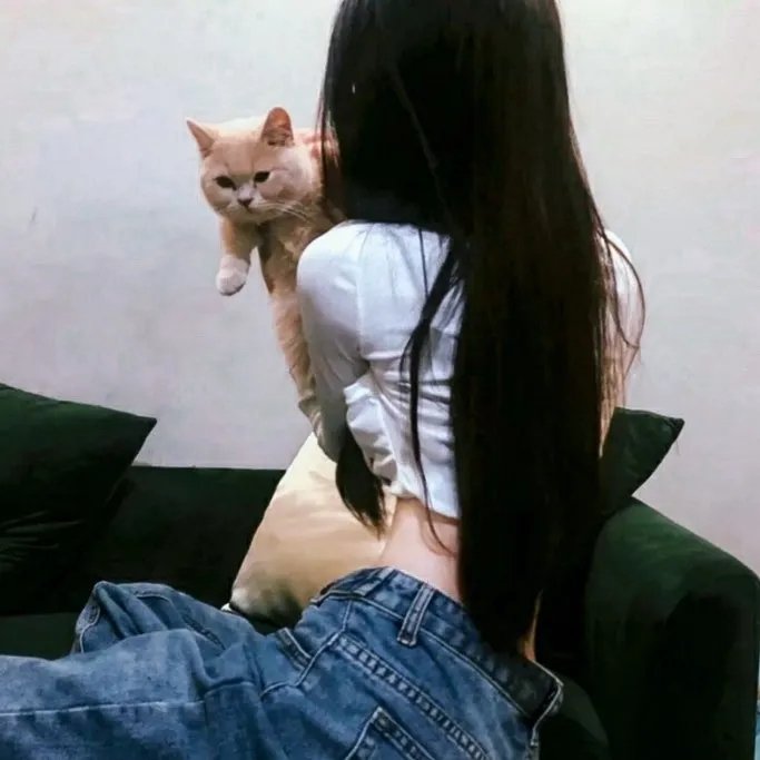 明天的黎明